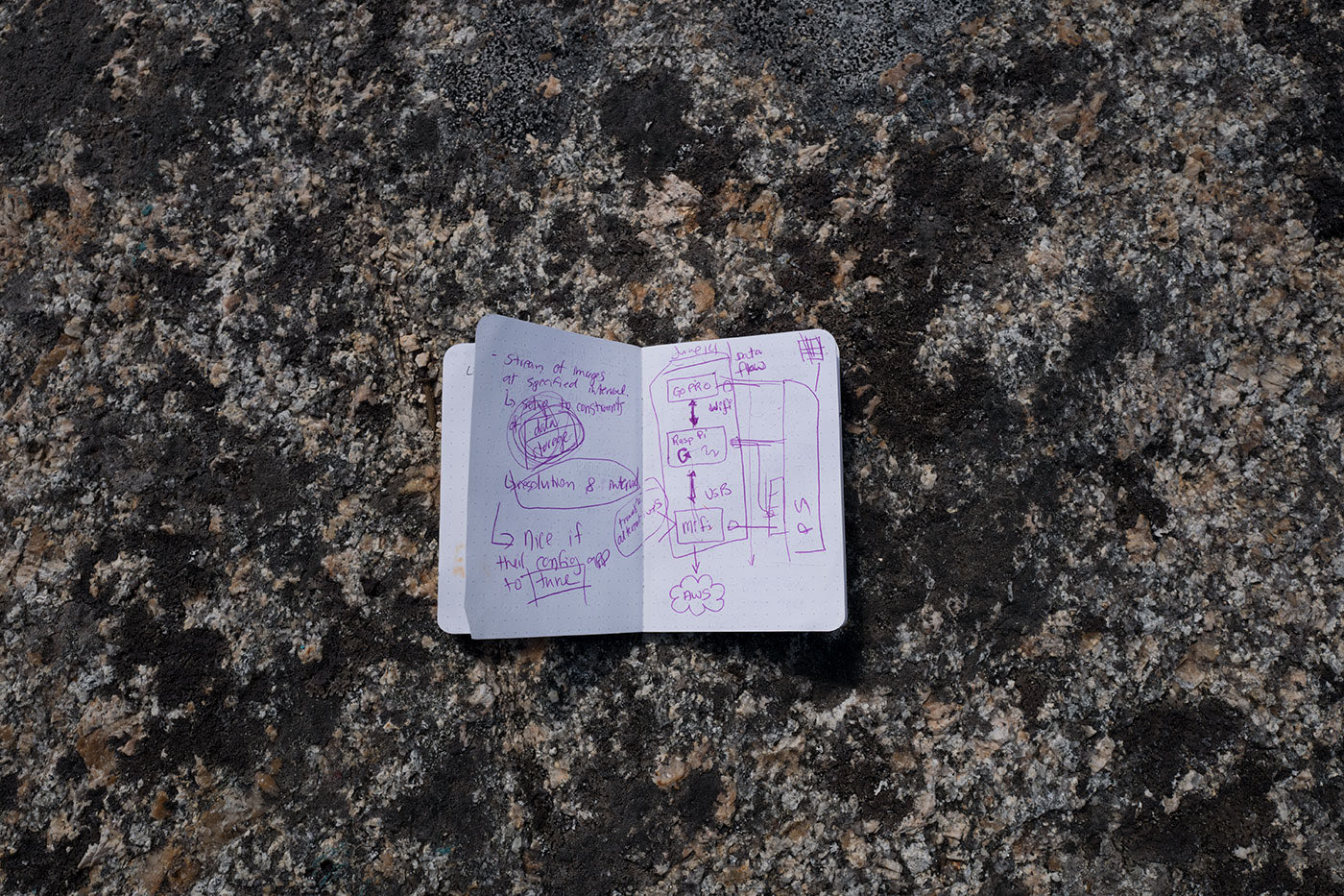 Project notebook