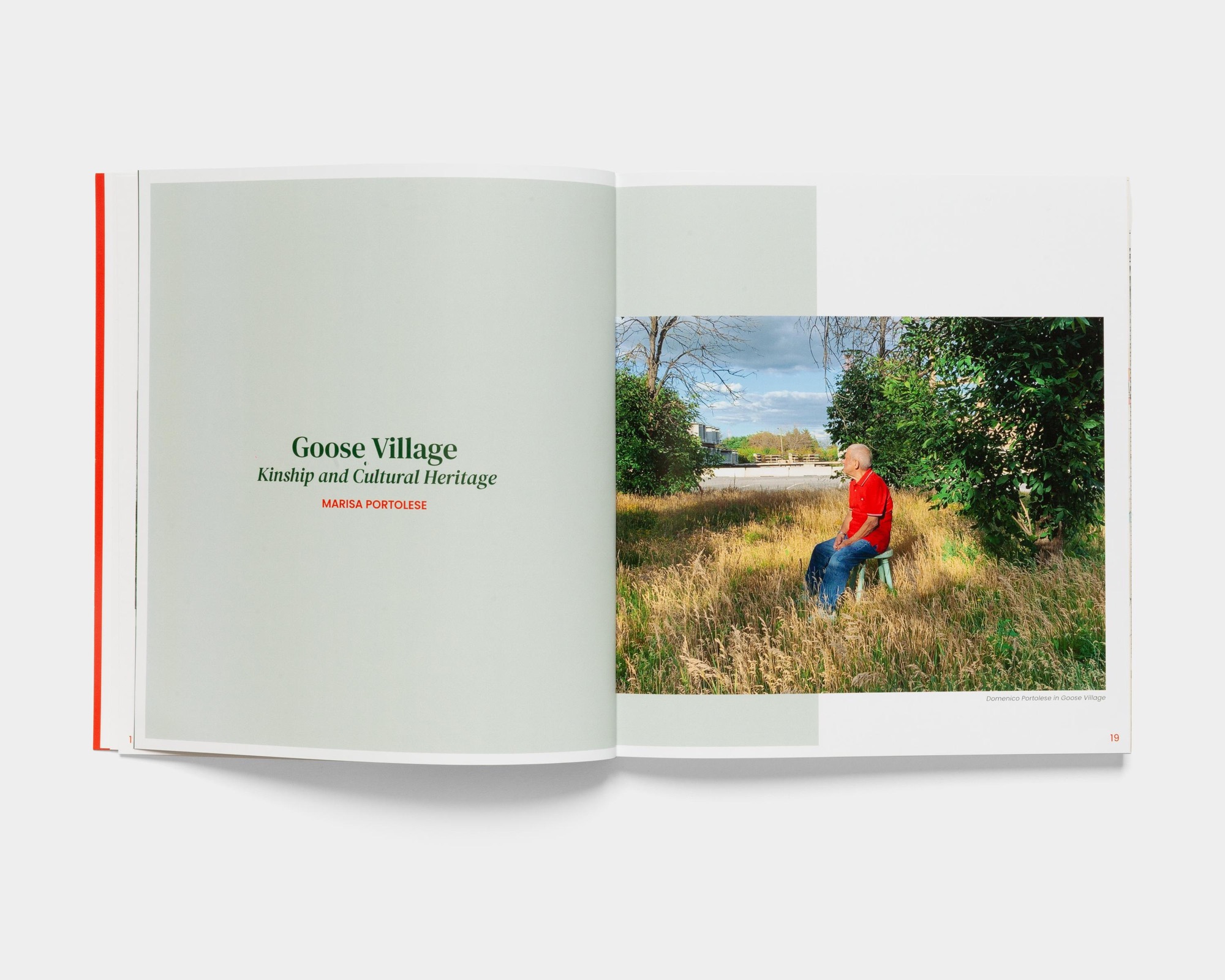 Goose Village publication
